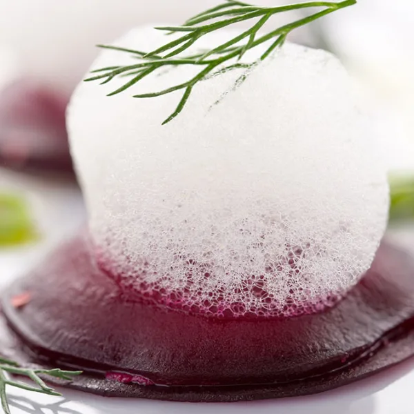 Citrus Sorbet